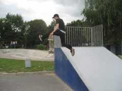skatevideosite.com Royalr