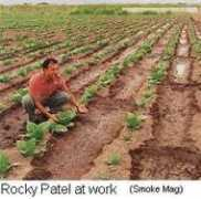 Rpatel