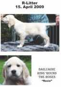 dailuaine.de Rpink