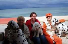 dalmatian-croatian.com.hr Rubesa