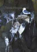 travel-images.com Rubinin