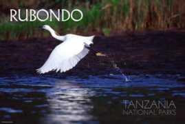 Rubondo