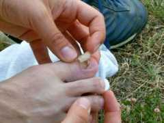 lnx.gaiofana.com Rudito