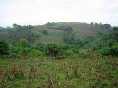 Rugay