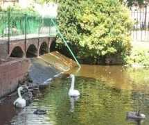 Rugeley