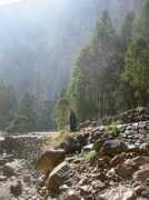 Ruidi