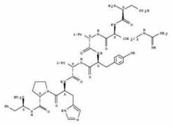 americanpeptide.company.weiku.com Ruidong