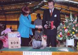 b-avemaria-jp.com Ruiji
