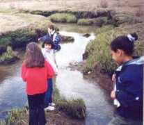 saugusriver.org Rumney