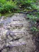 Rungs