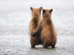 diary.ru Runil