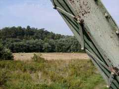 Runks