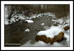 philpottphotography.com Runnett