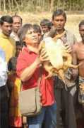 turtlesurvival.org Rupali