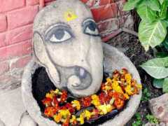 vanamaliashram.org Rupini