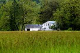 Rural