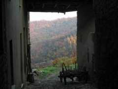 panoramio.com Rurale
