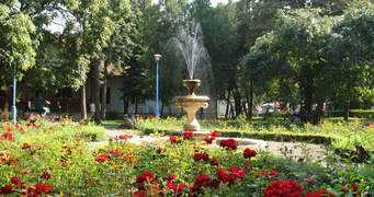 Rusanda