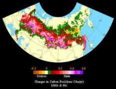 cliveg.bu.edu Rusink