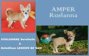 ruslanna.eu.sk Ruslanna