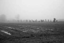 panoramio.com Rusnes