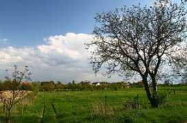reality.etrend.sk Rusovsky