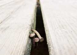Rust