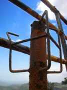 Rust
