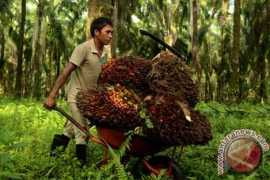 antaranews.com Rustiadi