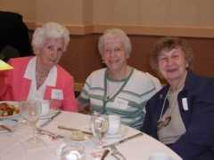 hhsnalumnae.org Rutchik