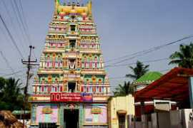 go2india.in Ryali
