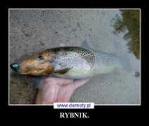 demoty.pl Rybnik