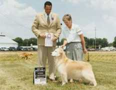 gikigoldens.com Rybolt