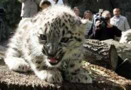 pets.onas.ru Rych