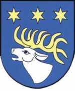 lubelskie.pl Rycki