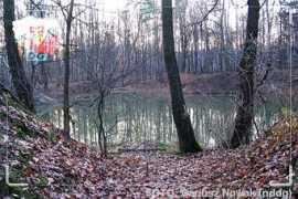 dabrowa.pl Rynas
