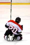 Ryner