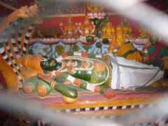 Saayi