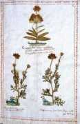 myristica.it Sabbato