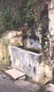 Sabetz