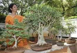 thehindu.com Sabitha
