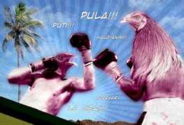 Sabong