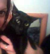 Sacat