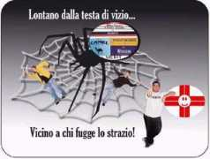 Saccardo