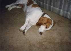 murphy.itfais.com Sacke