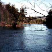 Saco