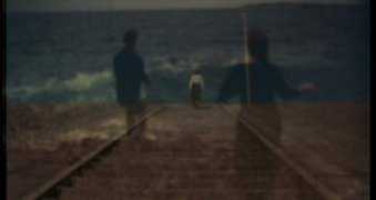 sensesofcinema.com Sacris