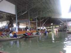Saduak