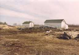 Sadura