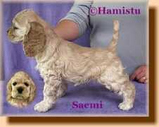 Saemi